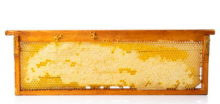 Honeycombs frame with fresh honey isolated on a white backgroundの写真素材