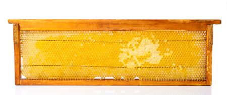 Honeycombs frame with fresh honey isolated on a white backgroundの写真素材