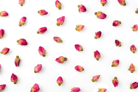 Tea-rose buds on a white background. Concept wrap for flowers. Rose buds.の写真素材
