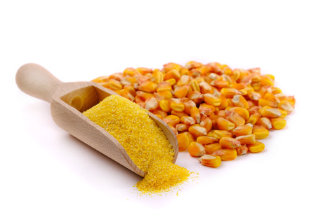 wooden scoop with corn flour on white background.の写真素材