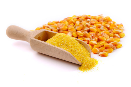 wooden scoop with corn flour on white background.の写真素材
