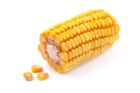 Corn On White Background. Maize On White.の写真素材