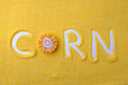 Corn grits Concept Inscription corn flour yellowの写真素材