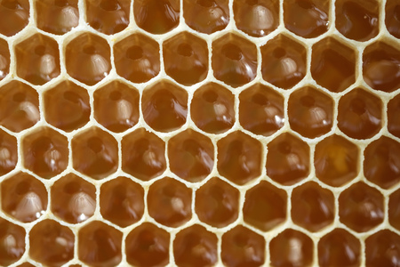 Filled honeycomb as background. Fresh honey. Healthy natural sweetenerの写真素材