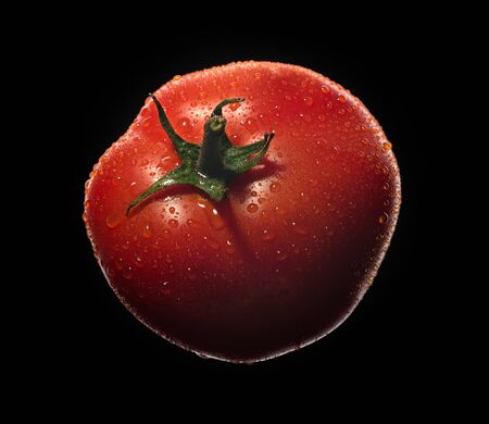 Red ripe tomato with drops of water on a black background.の写真素材