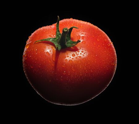 Red ripe tomato with drops of water on a black background.の写真素材