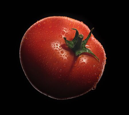 Red ripe tomato with drops of water on a black background.の写真素材