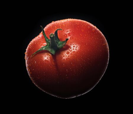 Red ripe tomato with drops of water on a black background.の写真素材