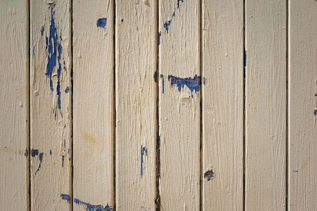 Pastel natural old wooden planks texture background.の写真素材