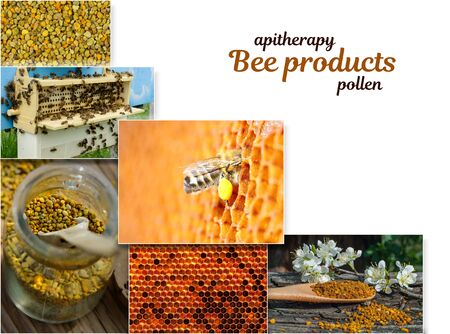 Pollen. The healing properties of pollen. As bees collect pollen. Apitherapy. Photo collage on...