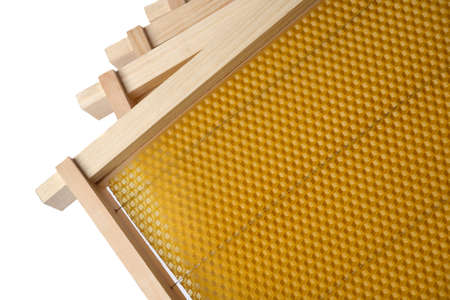 Frame for honeycomb of bees. Beeswax. Wax base for honey bee rebuilding on a white background....