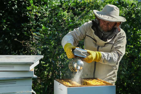 Beekeeper on apiary. Beekeeper is working with bees and beehives on the apiary. Apiculture.の写真素材