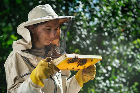 Young female beekeeper hold wooden frame with honeycomb. Collect honey. Beekeeper on apiary. Beekeeping concept.の写真素材