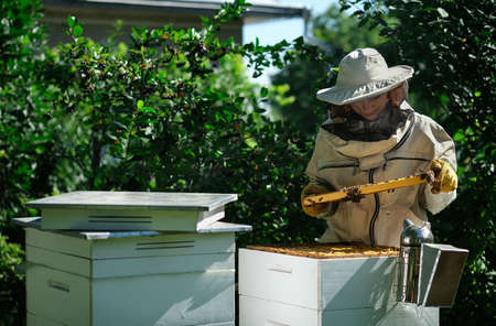 Young female beekeeper hold wooden frame with honeycomb. Collect honey. Beekeeper on apiary. Beekeeping concept.の写真素材