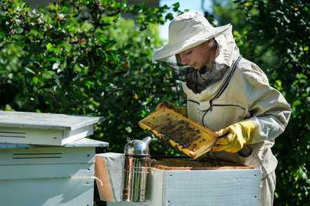 Young female beekeeper hold wooden frame with honeycomb. Collect honey. Beekeeper on apiary. Beekeeping concept.の写真素材