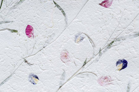 White mulberry paper with petal and leaf texture used for a background.の写真素材