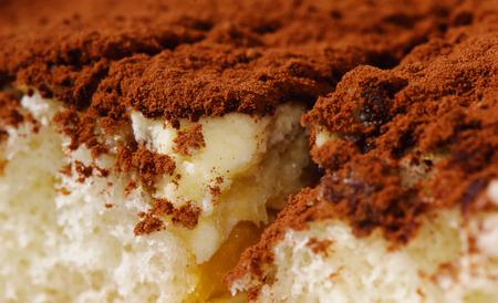 Tiramisu cake with an image of a fork on a plate sprinkled with chocolateの写真素材