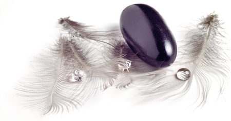 Water drop on light gray feathers of a bird. Crushed feathers shiny black stone. Lightness and heaviness. Light and dark. The liquid and solid.の写真素材