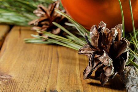 Pine conesの写真素材