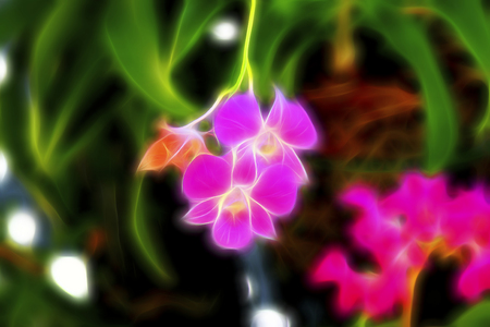 Fresh flowers. A stylized illustration. Glowing contours. Bright colors in the picture.の写真素材