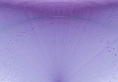 The fractal pattern on whiteの写真素材