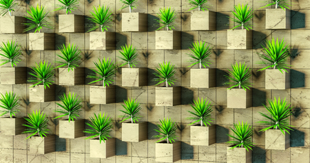 3D rendering. Succulents on the wall. Plants in arid places growing up in the niches on the wall. Pink stucco wall. Bright green thorny plants. Patio. Stay in his yard.の写真素材