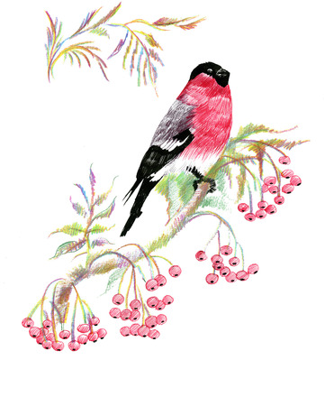 Bullfinch on a branch. Watercolor.のイラスト素材