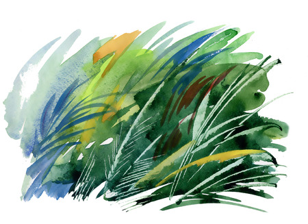 Beautiful watercolor grass illustrationのイラスト素材