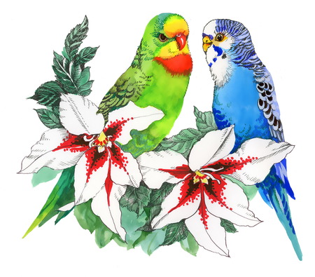 Parrots on flowers, isolated on white backgroundのイラスト素材