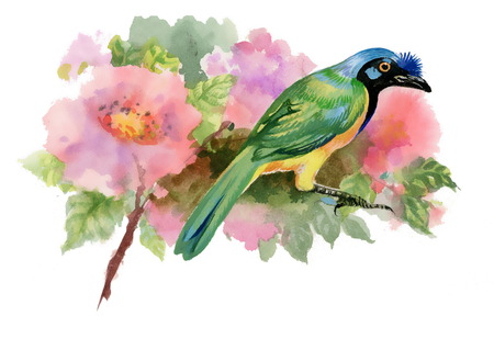 Watercolor illustration of bird on branch with pink flowersのイラスト素材