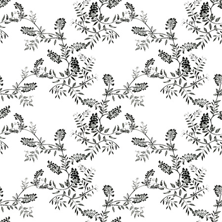 Wild flowers seamless pattern on white backgroundの写真素材