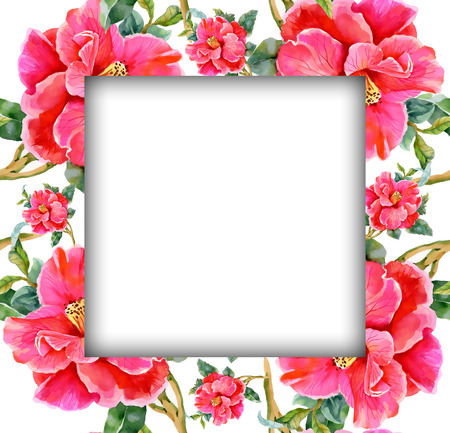 Watercolor flower frame on white backgroundのイラスト素材