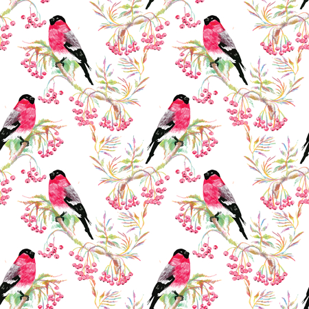 Seamless pattern with summer herbs and birds. Watercolorのイラスト素材