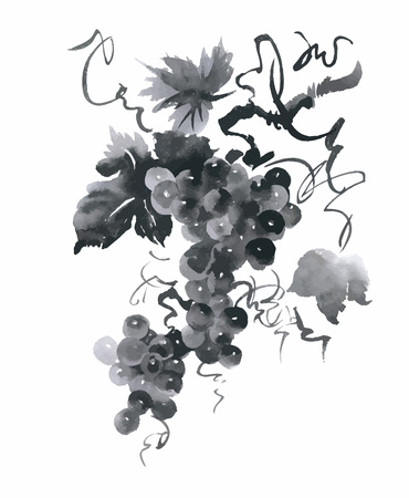 Watercolor garden rowan plant vector illustration.のイラスト素材