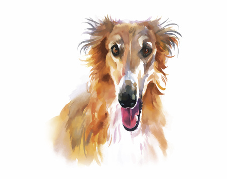 Collie Animal dog watercolor illustration vector.のイラスト素材
