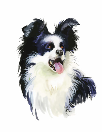 Border Collie Animal dog watercolor illustration isolated on white background vector.のイラスト素材