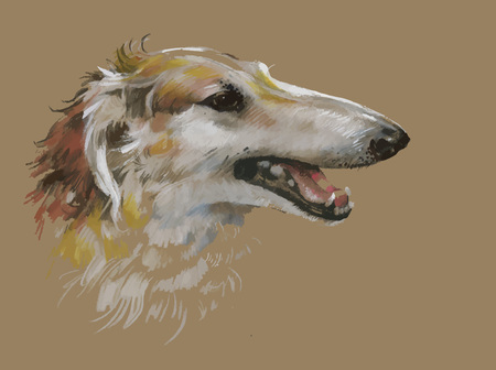 Greyhound animal dog watercolor illustration.のイラスト素材