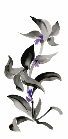 Watercolor flowers in a classical style on a white background.のイラスト素材