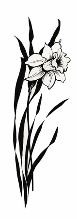 Watercolor flowers in a classical style on a white background.のイラスト素材