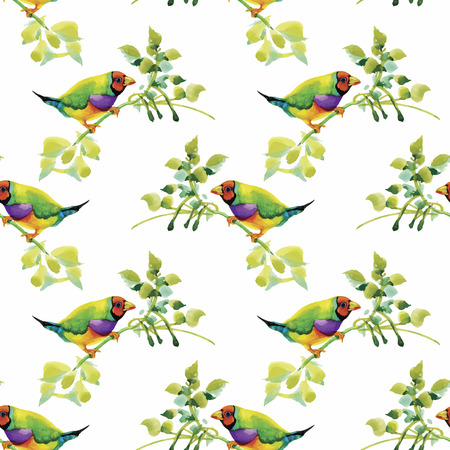Watercolor Wild exotic birds on flowers seamless pattern on white background.のイラスト素材