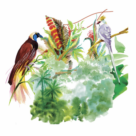 Watercolor hand drawn pattern with tropical summer flowers of and exotic birds.のイラスト素材