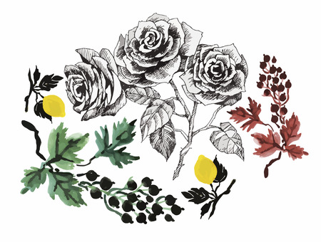 Floral background. Floral card. Watercolor floral bouquet. Birthday cardのイラスト素材