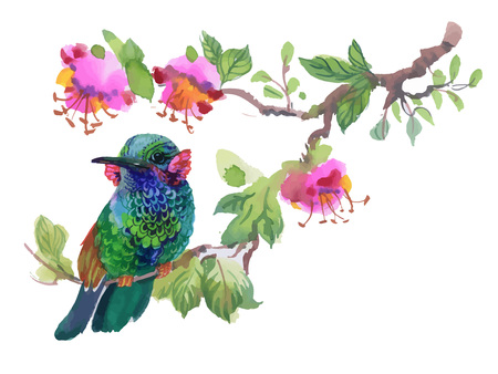 Watercolor colorful Bird on branch with green leaves and flowersのイラスト素材