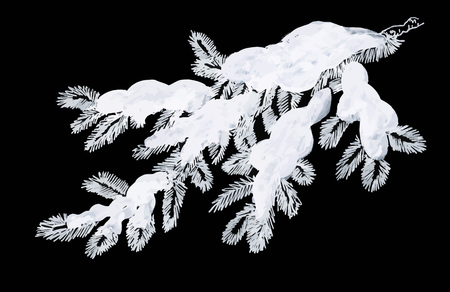 Coniferous pine branch in snow greeting cardのイラスト素材