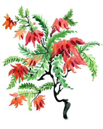 Watercolor and ink illustration of blossoming flowersのイラスト素材