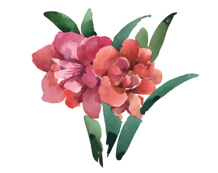 Hand drawn flowers isolated on white background.のイラスト素材