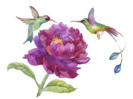 Watercolor hand drawn colorful beautiful flower and birds.のイラスト素材