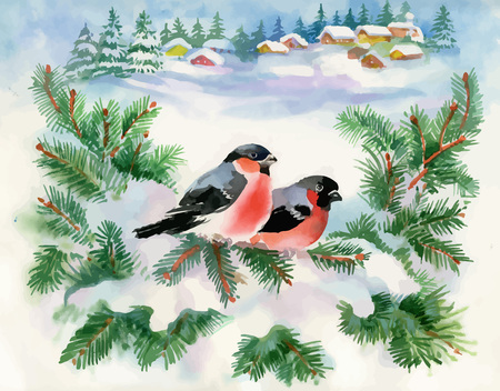 Bullfinch birds on snowy tree branch. Watercolor, vector illustration.のイラスト素材