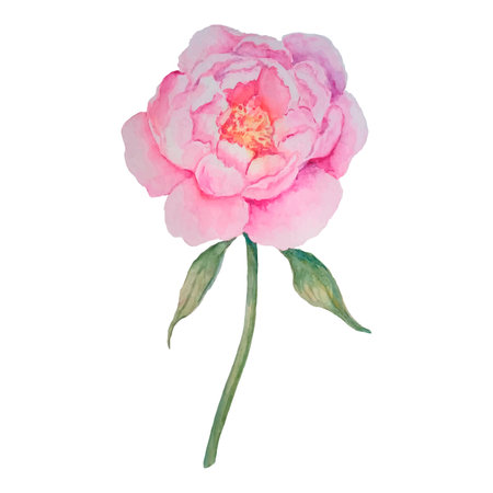 Hand drawn watercolor vector flower.のイラスト素材