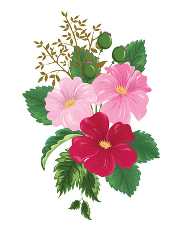 Flower arrangement with three blooming pink flowers and three buds on a white background.のイラスト素材